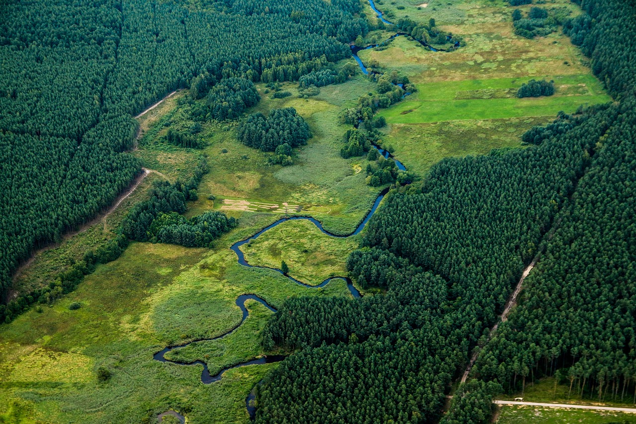 Kaimynė Lenkija – vietinių rekomendacijos