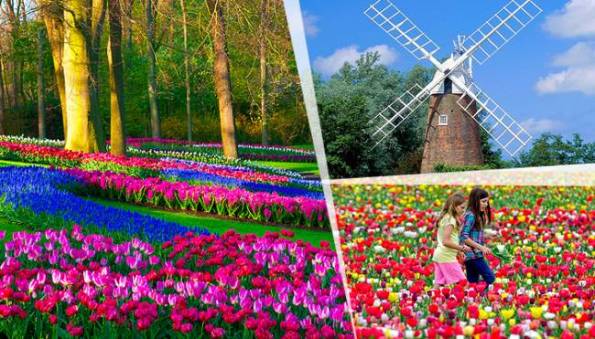 VOKIETIJA - BELGIJA – OLANDIJA (5 D.) gėlių parko „Keukenhof“ lankymas ir gėlių paradas  (skrydis iš Rygos į Diuseldorfą)